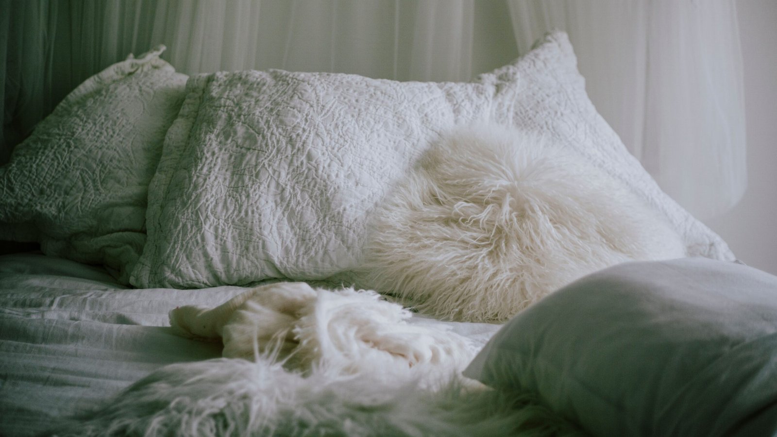 A serene bedroom scene featuring fluffy pillows and a cozy white bed, perfect for relaxation and comfort.